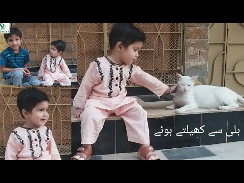 Hamdan Meher Playing Cat | Pakistan Tv |