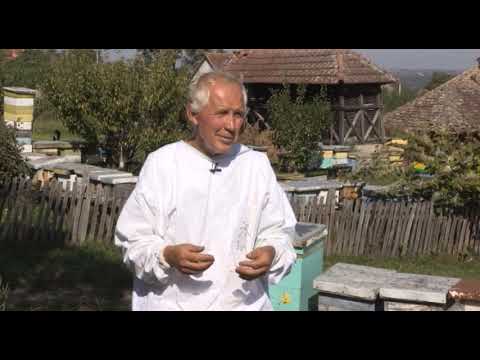 Boja meda ep. 42 25.12.2018. NAJAVA