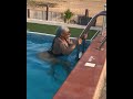 ٢ أبريل ٢٠٢٣