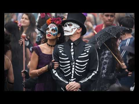 CAT IN DA GLASSES - ビニール空 (Vinyl Sky)