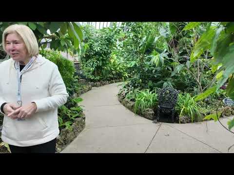 Inside the Belle Isle Anna Scripps Whitcomb Conservatory POV | Detroit, Michigan