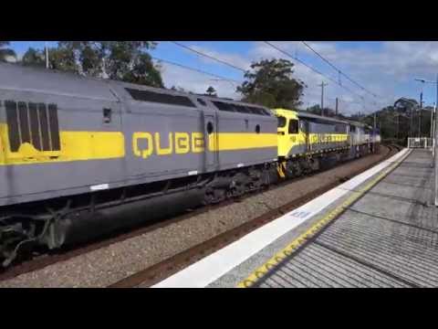 Quad Qube variety leading 5164 box grain - 15/6/16