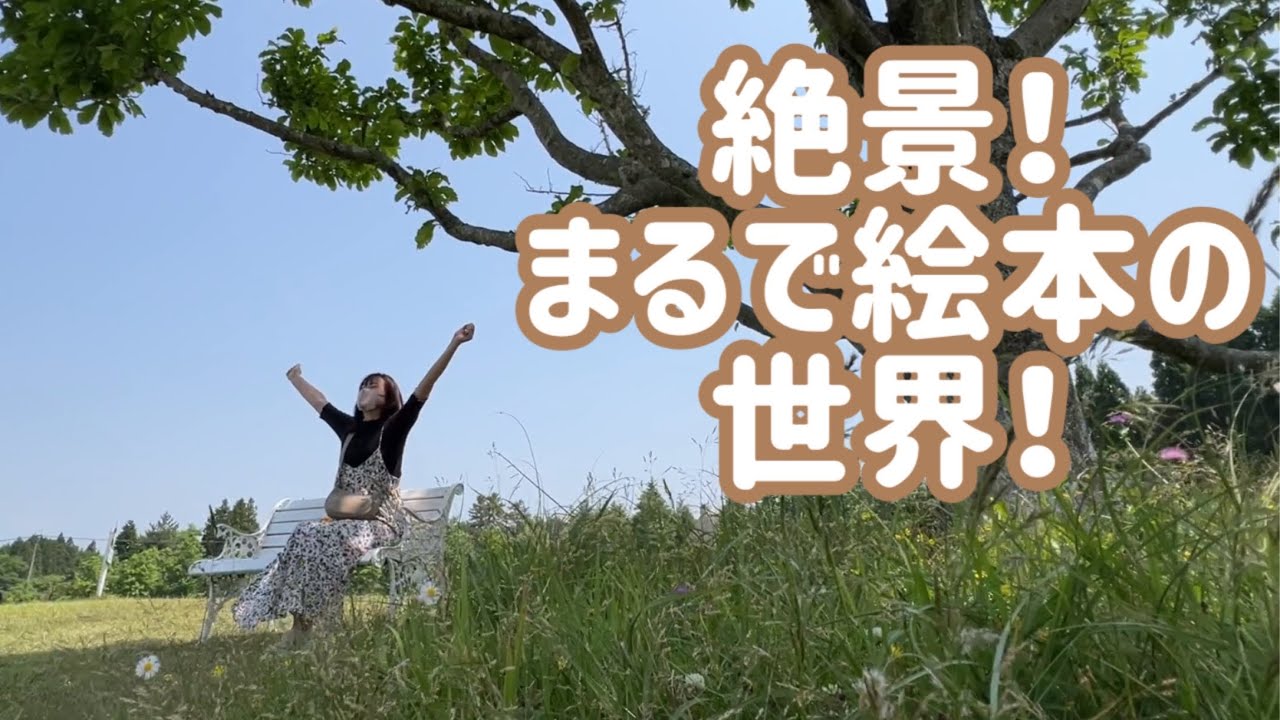 【絶景】絵本の世界へ旅しよう🚗葉祥明阿蘇高原絵本美術館と阿蘇神社