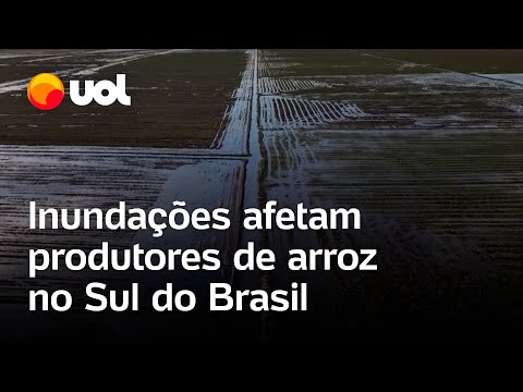 Enchentes no Rio Grande do Sul afetam produtores de arroz no sul do Brasil