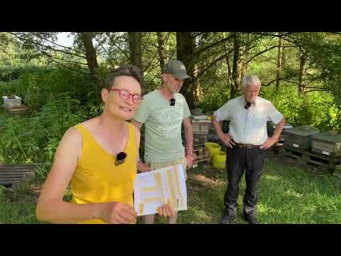 Live von Pias Bienenstand - 10.07.2023