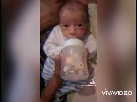 romano rap 2021 lonardo pevac 2021