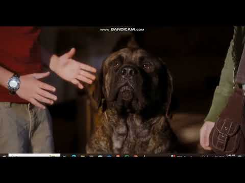 Rated G PG PG 13 R NC 17 Emma Roberts 20th Century Fox