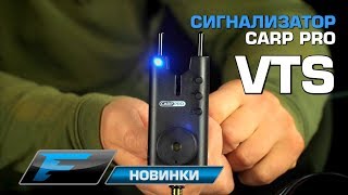 Ссылка