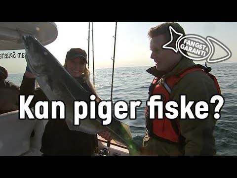 Havfiskeri efter torsk, lubbe og sej med Fangstgaranti