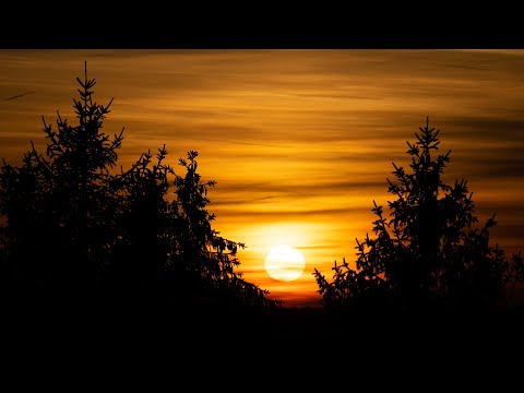 تراتيل بيزنطية- مزمور إحفظني يا رب -Byzantine Music - psalm 15