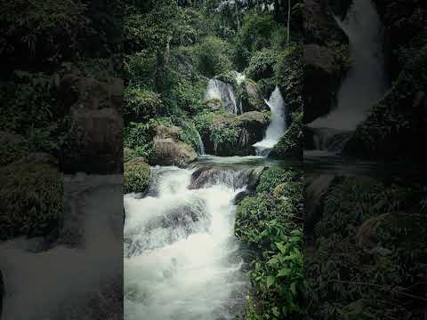 Maya ko bhasha (cover) // Anmol Gurung