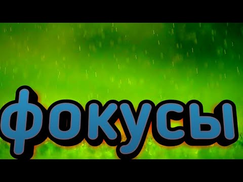 Фокусы ( ручкой рукой шарфом через шею) + обучение.