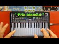 PRIA IDAMAN Tutorial Pemula ORG 24 MUDAH BGT