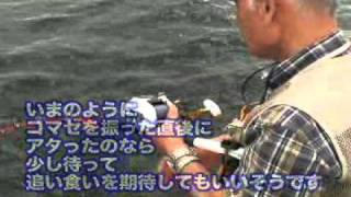 前田丸のイメージ