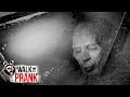 Zombie Pilot | Walk the Prank | Disney XD