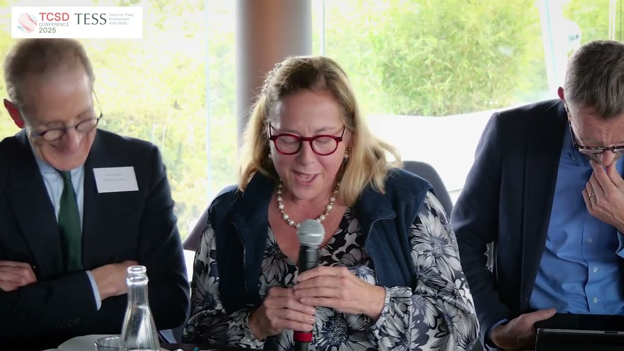 The ICJ Advisory Opinion on Climate and Implications for Trade Cooperation