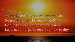 Chayanne - El Arte de Amar (Karaoke)