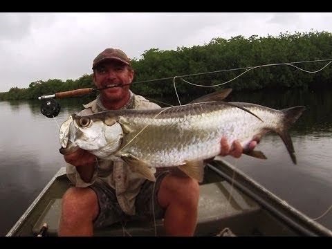 Tarpon on a 7 foot 3 weight