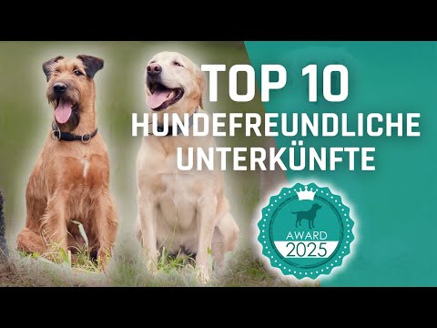 Urlaub mit Hund: TOP 10 Unterkünfte | hundehotel.info Award 2025