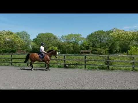 Aileens Quality Street