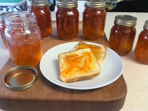 download lagu mp3 mp4 What To Eat With Marmalade, download lagu What To Eat With Marmalade gratis, unduh video klip What To Eat With Marmalade