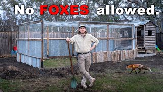 Building a Fox Proof Chicken Run | DIY Budget Build