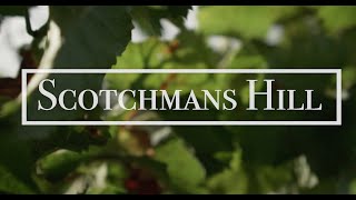 Scotchmans Hill Wine Tasting