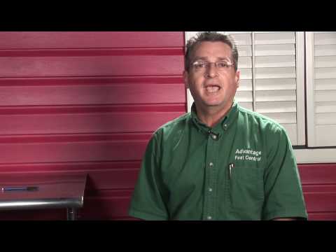 Pest Control : How Do You Get Rid of Hobo Spiders?