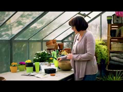 SPAR KOT NEKOČ - Metka in nasveti za sejanje