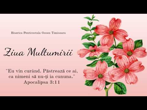 Gosen 11.11.2018 - dum seara (Todor Nelutu)