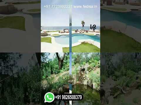 construire-piscine-extérieure-jardin-plantes