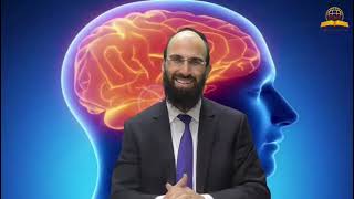 המוח היהודי נועד לקיום מצוות | הרב יצחק הדר (קו ההלכה הספרדי) - התמונה מוצגת ישירות מתוך אתר האינטרנט יוטיוב. זכויות היוצרים בתמונה שייכות ליוצרה. קישור קרדיט למקור התוכן נמצא בתוך דף הסרטון
