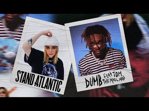Video thumbnail for dumb