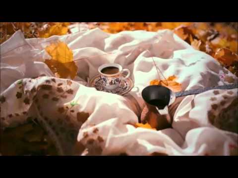 ASIYE SAALE - TOLDUR FILCANIN