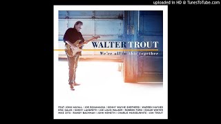 Walter Trout- she listens to the blackbird sing (feat. mike zito)