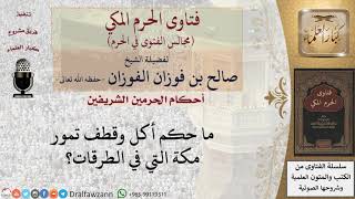 صورة ما حكم أكل وقطف تمور مكة التي في الطرقات؟ للشيخ صالح الفوزان