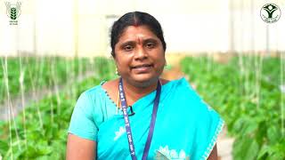 Integrated Pest Management in Protected Cultivation