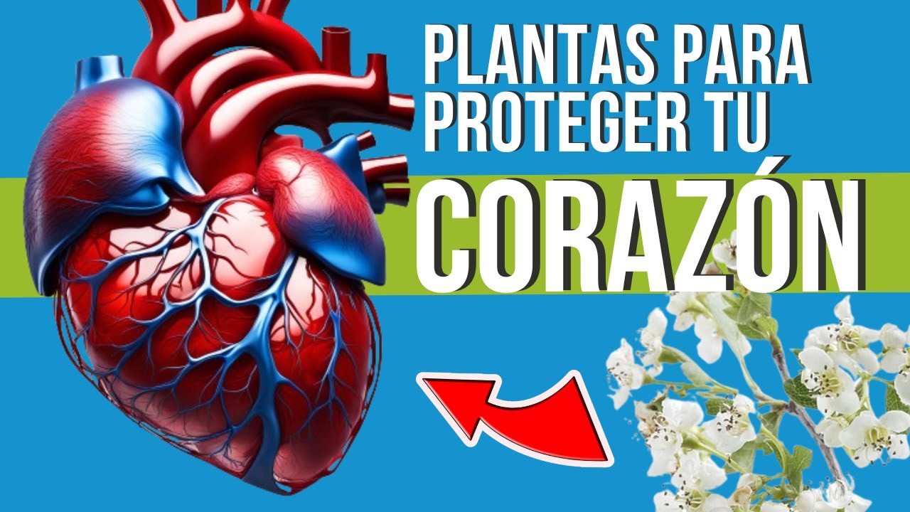 💔 DESCUBRE 5 Plantas MEDICINALES para PREVENIR INFARTOS 🌿 ¡PROTEGE TU CORAZÓN! 💚