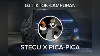 Download lagu DJ TIKTOK VIRAL STECU X PICA-PICA BY MAMAN FVNDY RMX ll DJ Yg kalian cari mp3