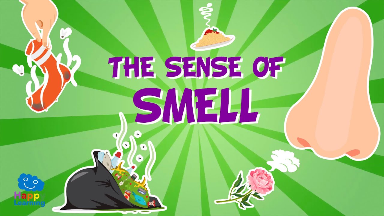 Five Senses: The Sense of Smell | Educational Videos for Kids