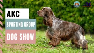 AKC Sporting Group Dog Show 2025 | Full Breed Lineup & Winner Reveal