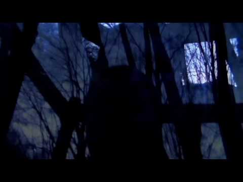 Tălagiu   Seara la pîndă