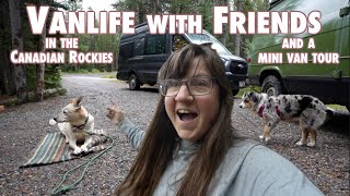 Carefree vanlife in the Canadian Rockies with @shewandersearth 🚐🐶