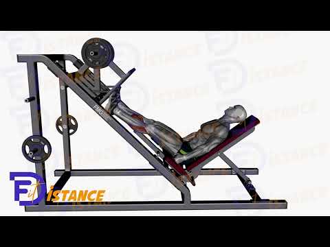 Exercice Élévations de mollets à la presse à cuisse