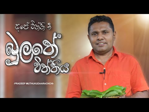 බුලතේ විත්තිය | අපේ විත්ති 3 | Pradeep Muthukudaarachchi | Bulathe Viththiya