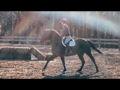 no stirrup riding lesson!!! | vlogmas day 9 | Eleese S