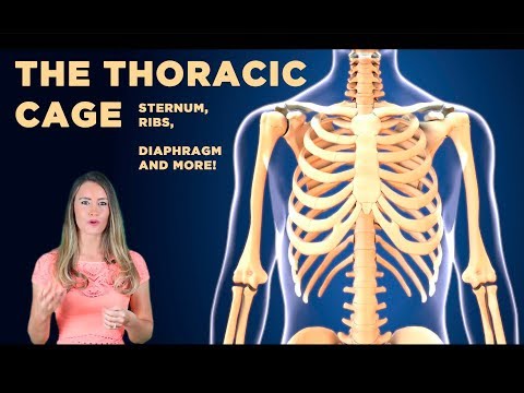 download lagu mp3 mp4 Manubrium, download lagu Manubrium gratis, unduh video klip Manubrium