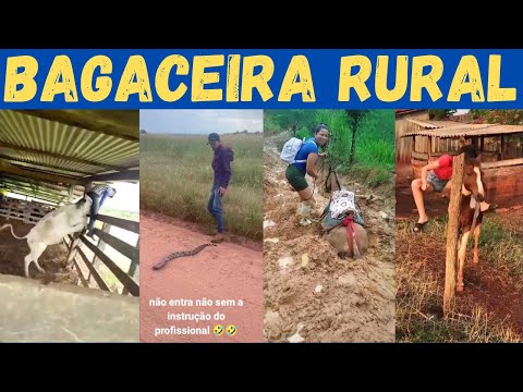 Es war schlecht auf den Feldern: die größten Pergues des ländlichen Lebens!