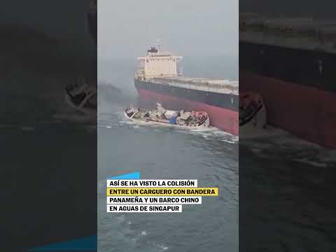 El momento de la colisión entre un carguero panameño y un barco pesquero chino #shorts