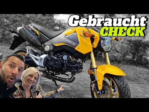 Honda MSX 125 Gebraucht Check // B196